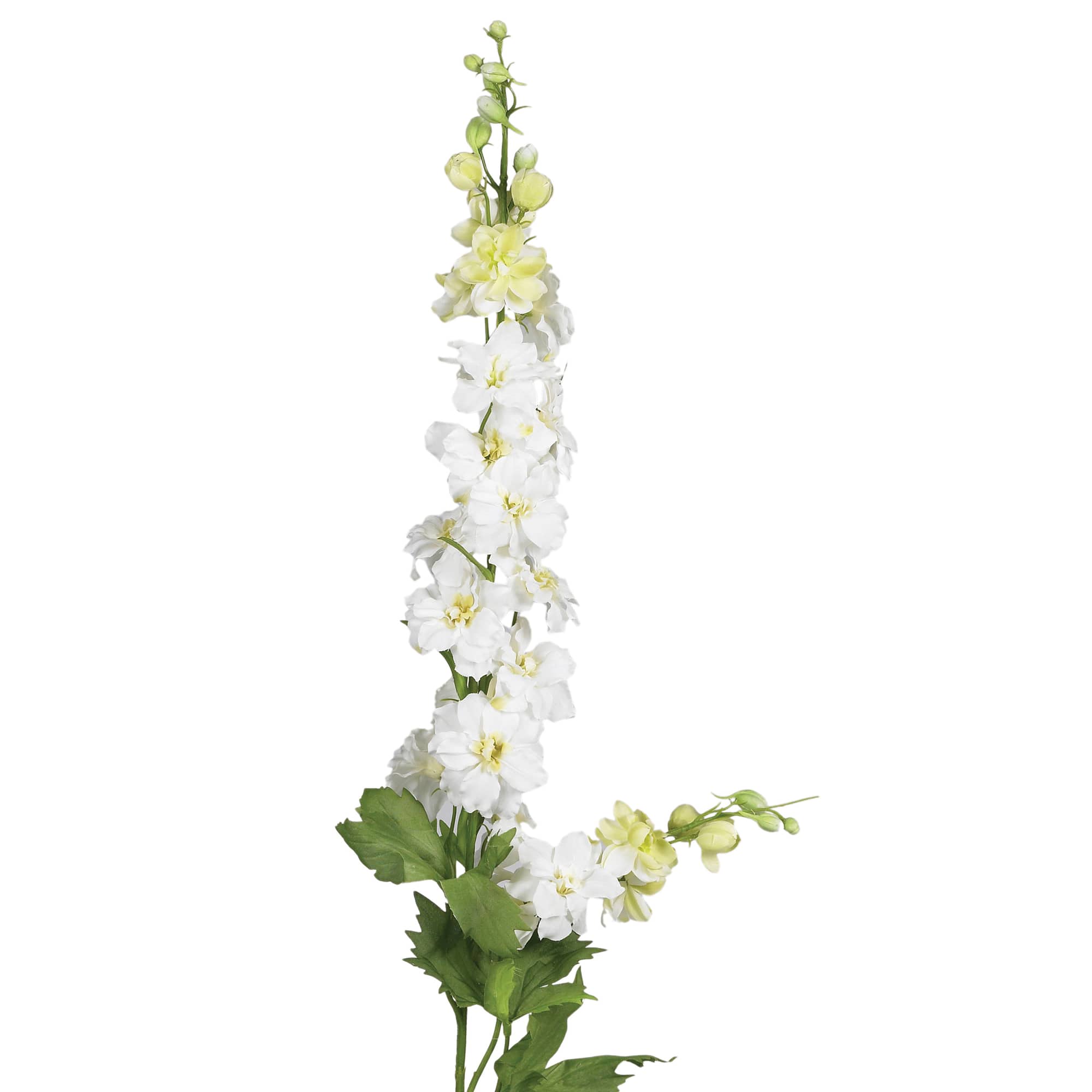White Delphinium Stem, 12ct.